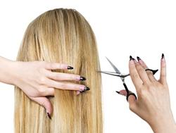 Hair Cut & Styling