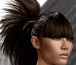 Hair Cut & Styling