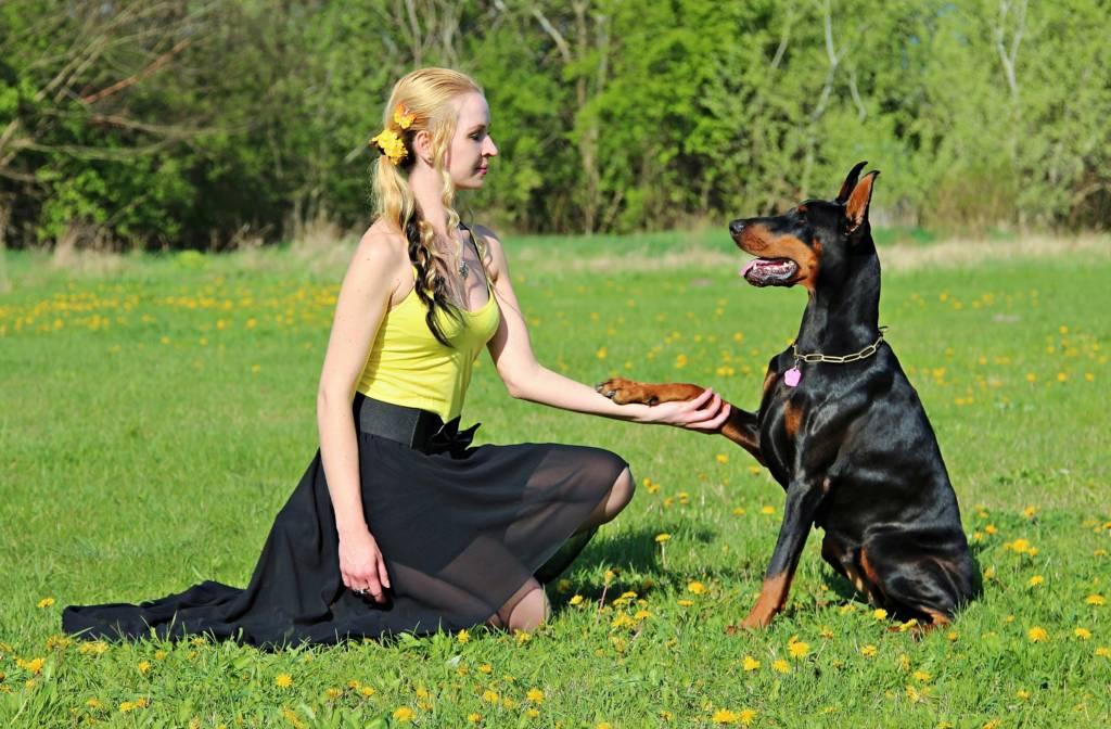 The strangest animal laws