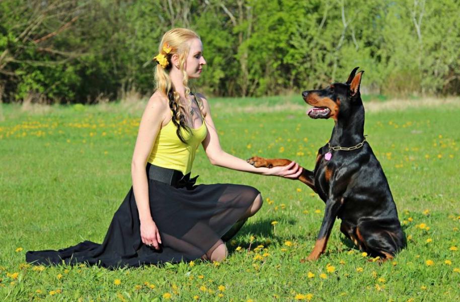 The strangest animal laws